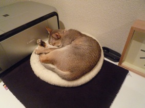 画像(283x212)