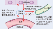 摜(180x99)Eg摜(640x354)