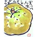 画像(120x120)