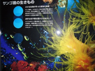 画像(320x240)