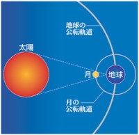 画像(200x194)