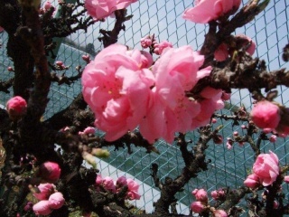 摜(320x240)Eg摜(640x480)
