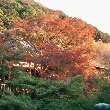 画像(110x110)