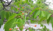 摜(180x108)Eg摜(640x384)