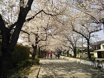 画像(215x161)