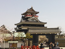 画像(215x161)