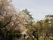画像(215x161)