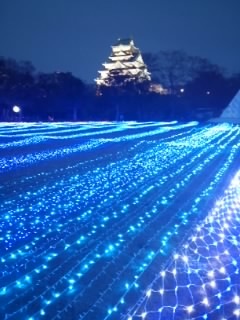 画像(240x320)