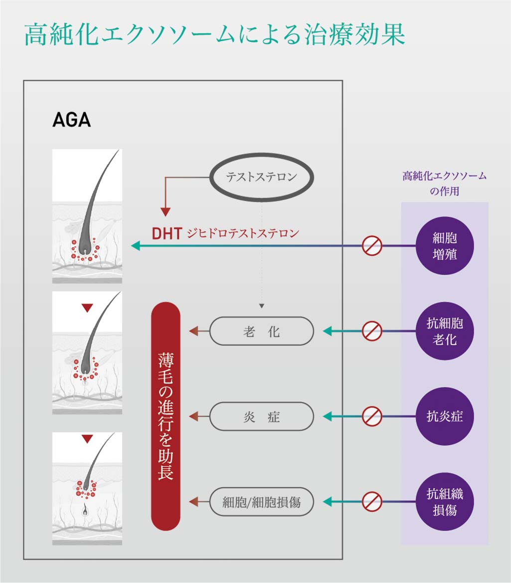 Exosome3