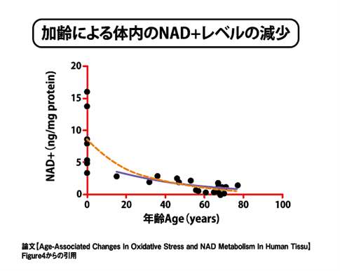 ɂ̓NAD+x̌